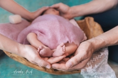 Babyfotos in deinem Zuhause IMG 3770w