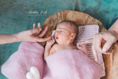 Babyfotos in deinem Zuhause IMG 3786w