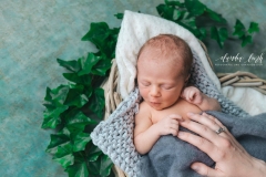 Babyfotos in deinem Zuhause IMG 3897w