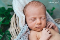 Babyfotos in deinem Zuhause IMG 3943w