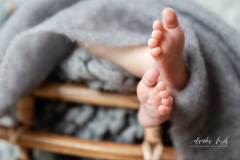 Kuschelige Nester für dein Newbornshooting – Wenn dein Baby sich wohl fühlt IMG 7161w