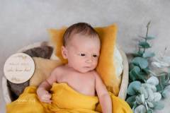 Kuschelige Nester für dein Newbornshooting – Wenn dein Baby sich wohl fühlt IMG 7381w