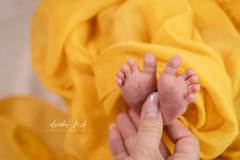 Kuschelige Nester für dein Newbornshooting – Wenn dein Baby sich wohl fühlt IMG 7434w