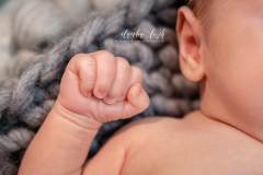 Homestory – Familienbilder mit deinem Neugeborenen IMG 6834w