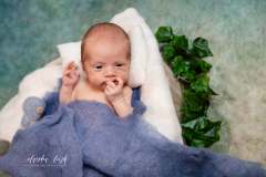 Homestory – Familienbilder mit deinem Neugeborenen IMG 6863w