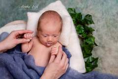 Homestory – Familienbilder mit deinem Neugeborenen IMG 6919w