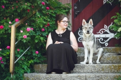 Hundefotografie mit Suko dem Tschechoslowakischen Wolfshund IMG 8194w