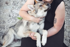 Hundefotografie mit Suko dem Tschechoslowakischen Wolfshund IMG 8264w