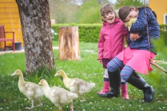 Kinderportraits mit Gänseküken IMG 0476w