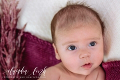 Kreative Babyfotos mit weihnachtlichen Accessoires IMG 5250web