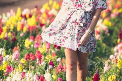 Morgendliche Portraits im Knoblauchsland IMG 2377w