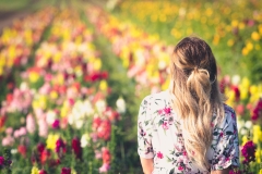 Morgendliche Portraits im Knoblauchsland IMG 2406-2w