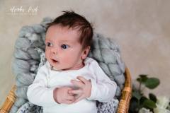 Newbornshooting - Der Frühling kann kommen IMG 8585b