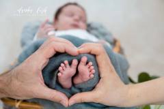 Newbornshooting - Der Frühling kann kommen IMG 8620b