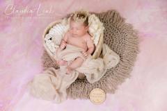 Newbornshooting – Balance zwischen Kreativität und Kundenwunsch IMG 0719w