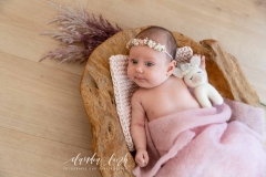 Newbornshooting in der Vorweihnachtszeit IMG 4136w