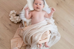 Newbornshooting in der Vorweihnachtszeit IMG 4283w