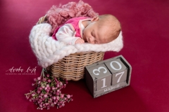 Newbornshooting in verträumten Farben IMG 8359w