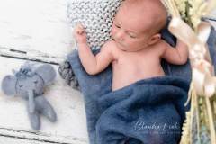 Newbornshooting mit Glückshormonen IMG 3642w