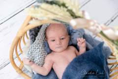 Newbornshooting mit Glückshormonen IMG 3663w