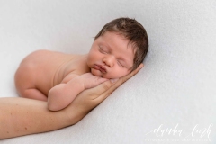 Workshop Newbornfotografie IMG 3932w