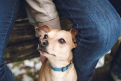 Kurzweiliges Paarshooting am Rothsee mit Hund Lucky IMG 8044w