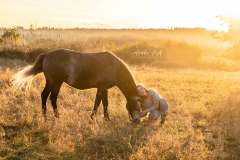 Pferdeshooting wie im Wilden Westen IMG 3963w