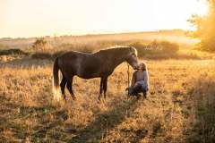 Pferdeshooting wie im Wilden Westen IMG 3966w