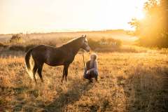 Pferdeshooting wie im Wilden Westen IMG 3978w