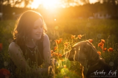 Hund, Katze, Pferd - Tierfotografie IMG 2062w
