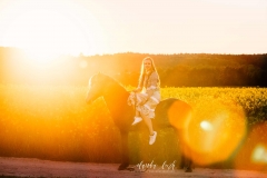 Sommerliches Pferdeshooting bei Sonnenuntergang IMG 8840w