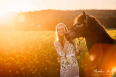 Sommerliches Pferdeshooting bei Sonnenuntergang IMG 8887w