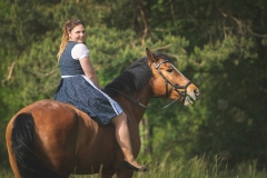 Pferdeshooting im Wald und auf der Heide IMG 1351w