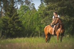 Pferdeshooting im Wald und auf der Heide IMG 1364w