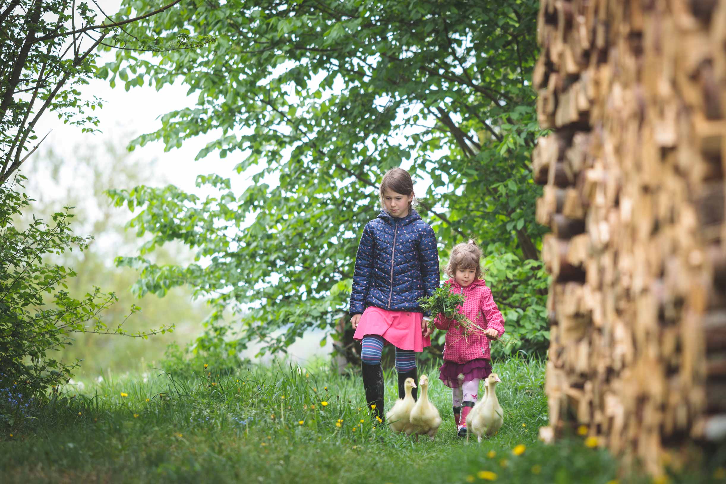 Kinderportraits mit Gänseküken auf dem Reiterhof in Corona-Zeiten von Claudia Link Fotografie und Grafikdesign Neumarkt in der Oberpfalz, Berching, Nürnberg