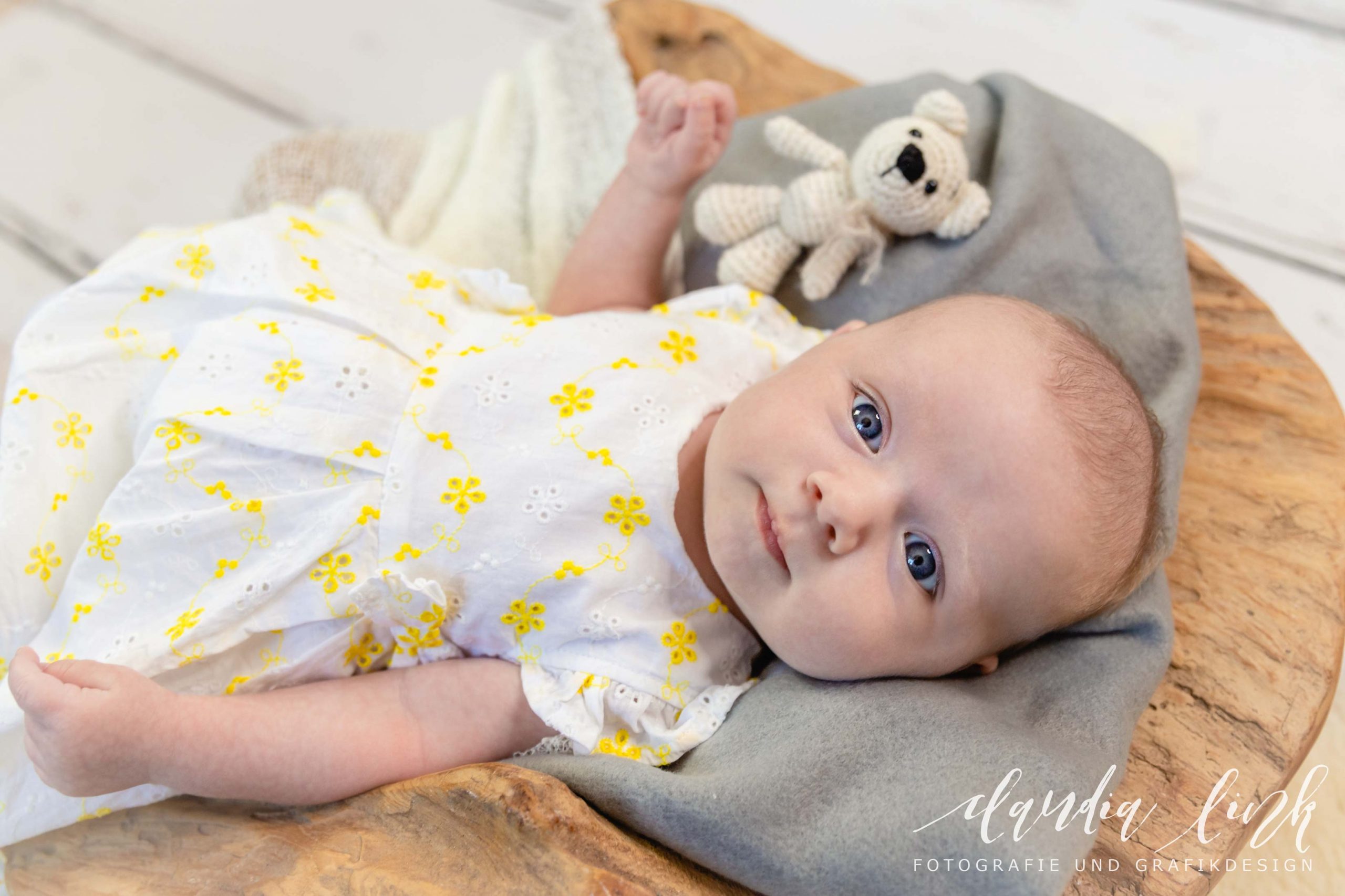 Babyfotos mit knuffigen Assistenten von Claudia Link Fotografie und Grafikdesign, Fotograf für Neugeborene, Babys, Kinder und Familien in Berching, Freystadt, Neumarkt in der Oberpfalz, Beilngries, Roth, Schwabach