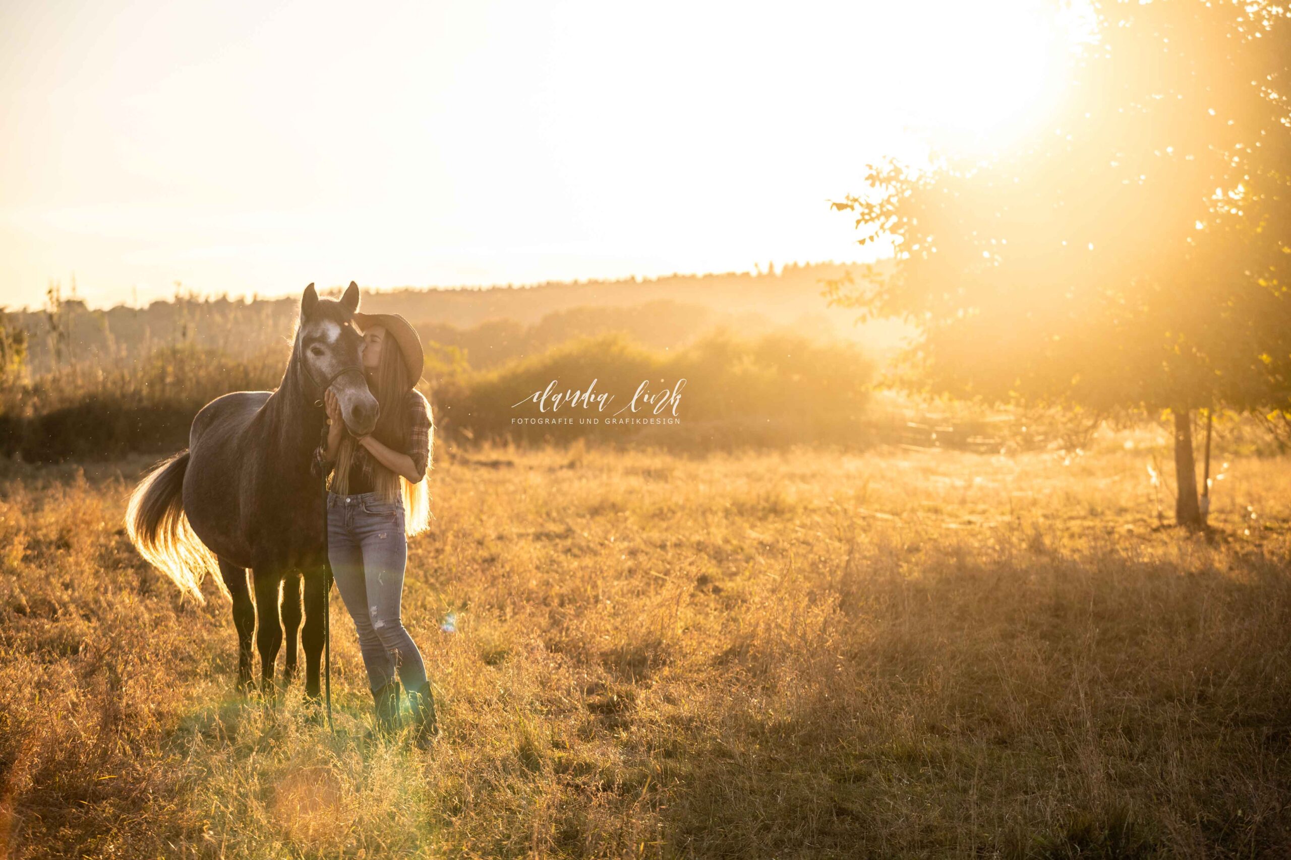 Pferdeshooting wie im Wilden Westen – Wenn die Sonne alles in Gold taucht bei Dietfurt an der Altmühl mit Claudia Link Fotografie und Grafikdesign Fotograf aus Berching bei Neumarkt in der Oberpfalz